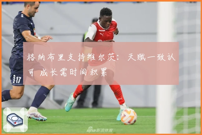格纳布里支持维尔茨:天赋一致认可 成长需时间积累