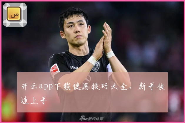 开云app下载使用技巧大全，新手快速上手