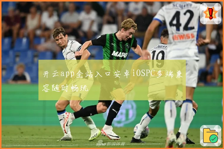 开云app全站入口安卓iOSPC多端兼容随时畅玩