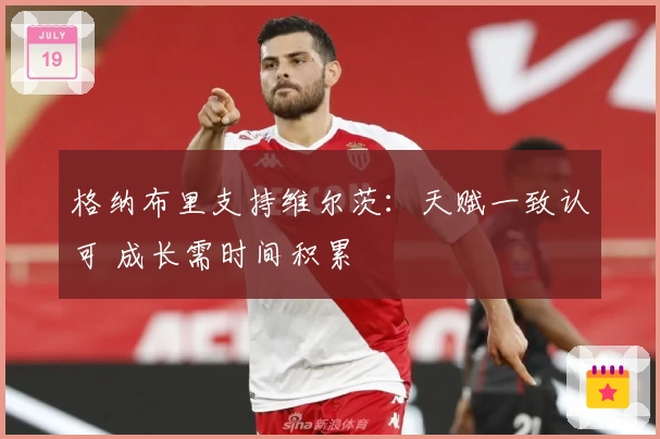 格纳布里支持维尔茨:天赋一致认可 成长需时间积累